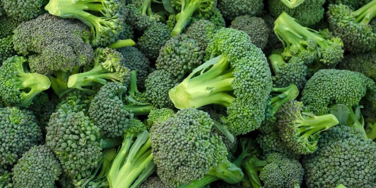 Por qué es peligroso comer el brócoli cuando se pone amarillo