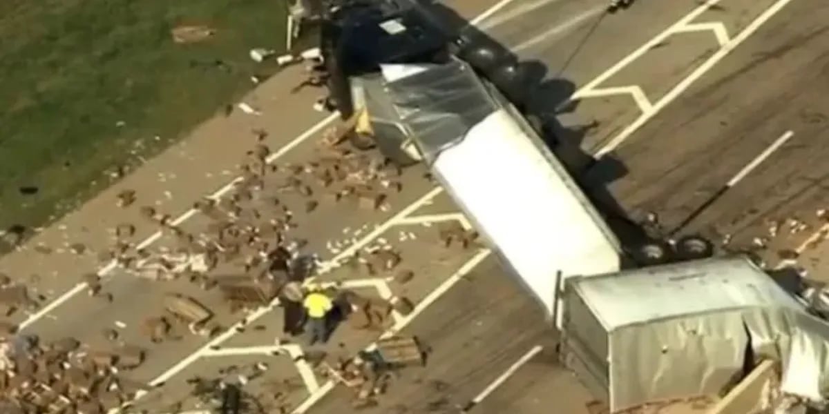 Un camión que volcó en la autopista se volvió tendencia en las redes por su contenido: “Qué pena”