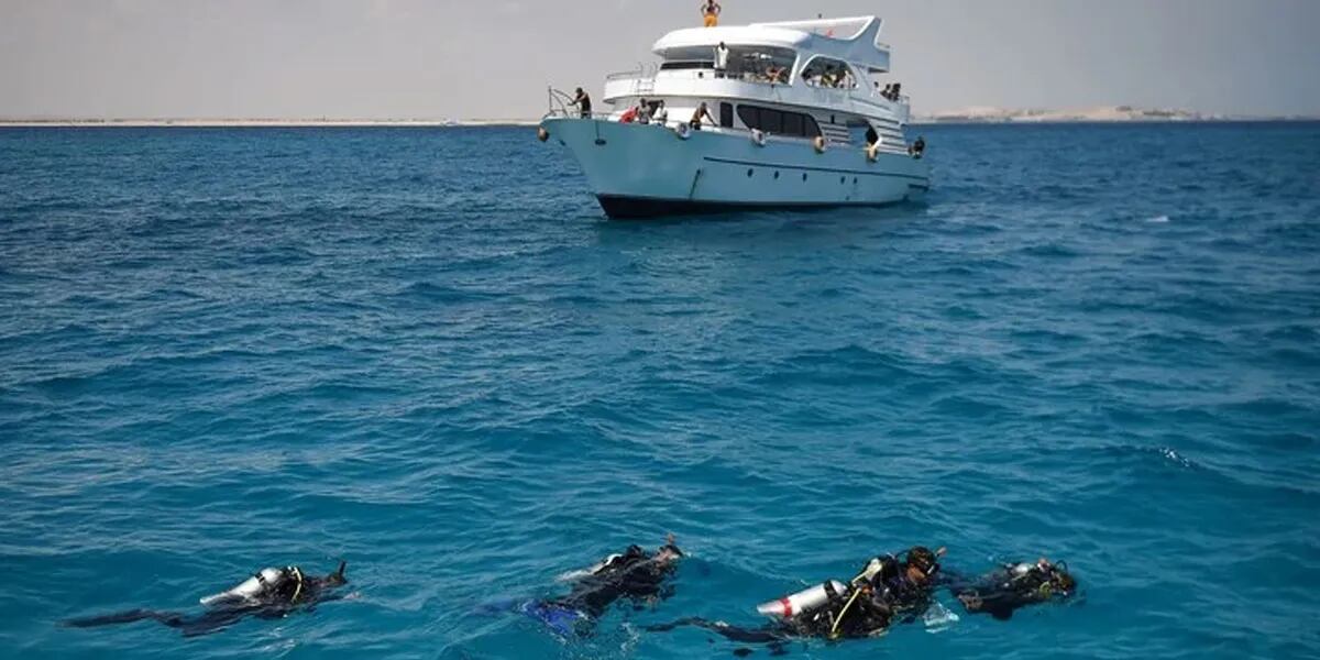 Tiburones descontrolados : murieron dos turistas y nadie sabe cómo detenerlos