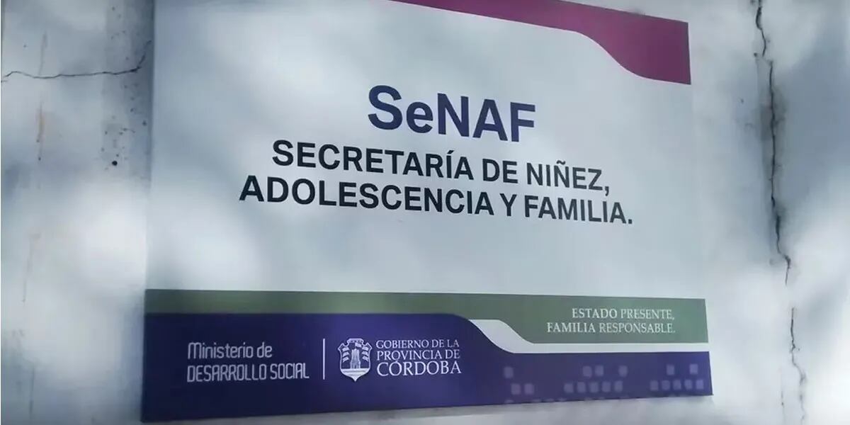 La SeNAF busca familias para cuidar temporalmente a 10 nenes, tres de ellos recién nacidos: qué hay que hacer para postularse