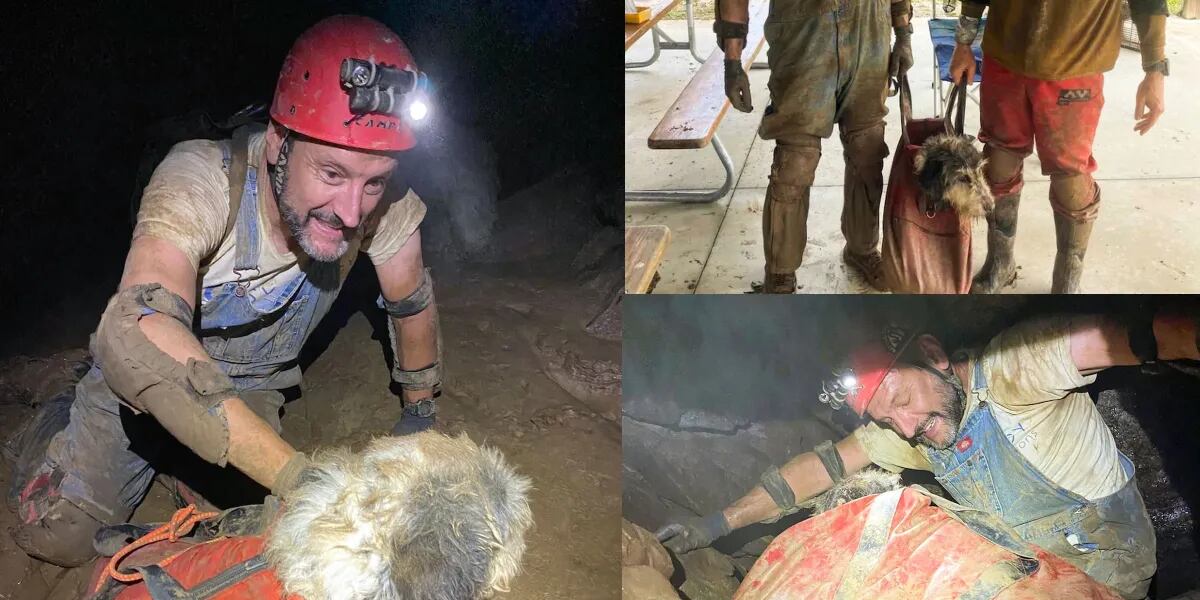 El angustiante rescate a una perrita a 150 metros bajo tierra: llevaba perdida dos meses
