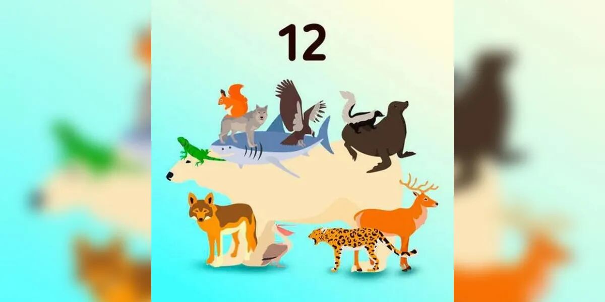Reto visual: encontrá a los 12 animales ocultos adentro de la imagen