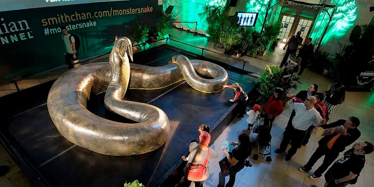 Titanoboa: la enorme serpiente de más de 15 metros de largo capaz que devoraba cocodrilos de un solo bocado
